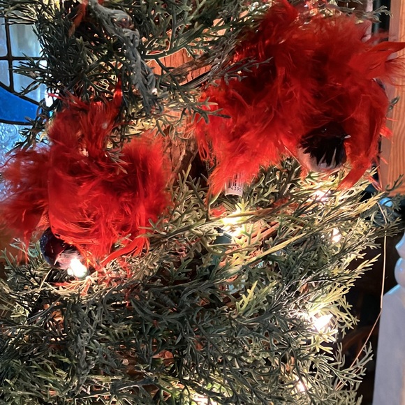 Feather Bird With Red Plumes (Feathers) 14” by Regency...